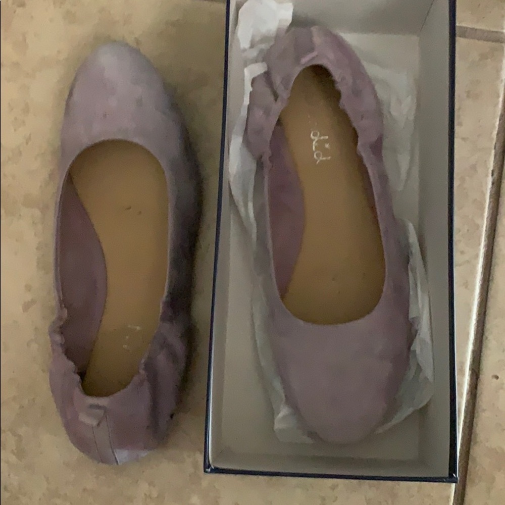 Splendid flats